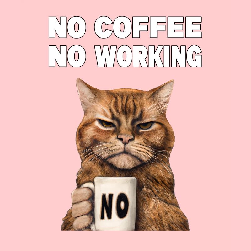 Pas de café pas de travail. Chat grincheux et drôle