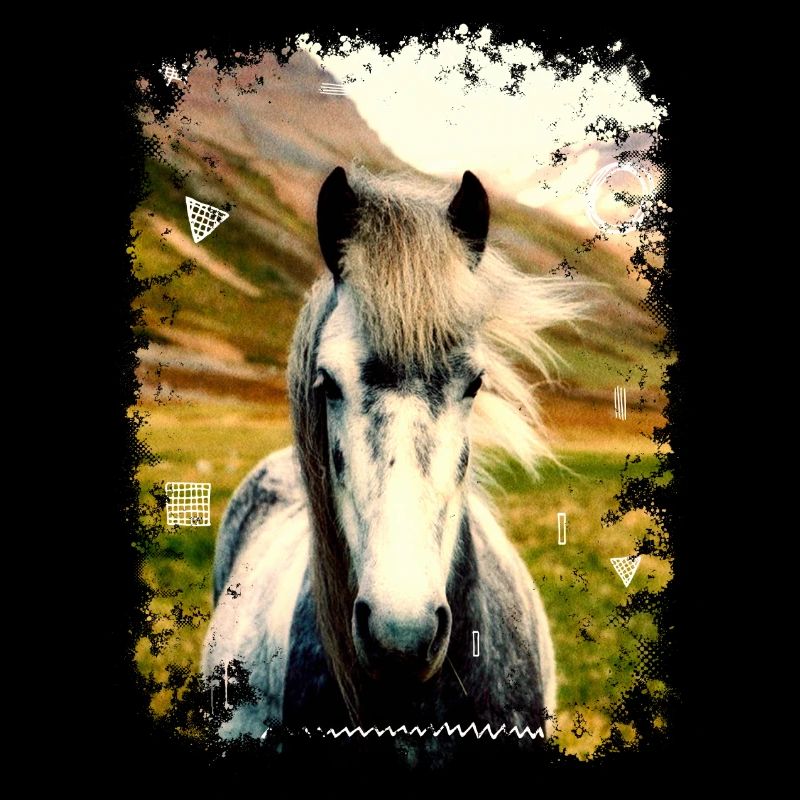 PFERD