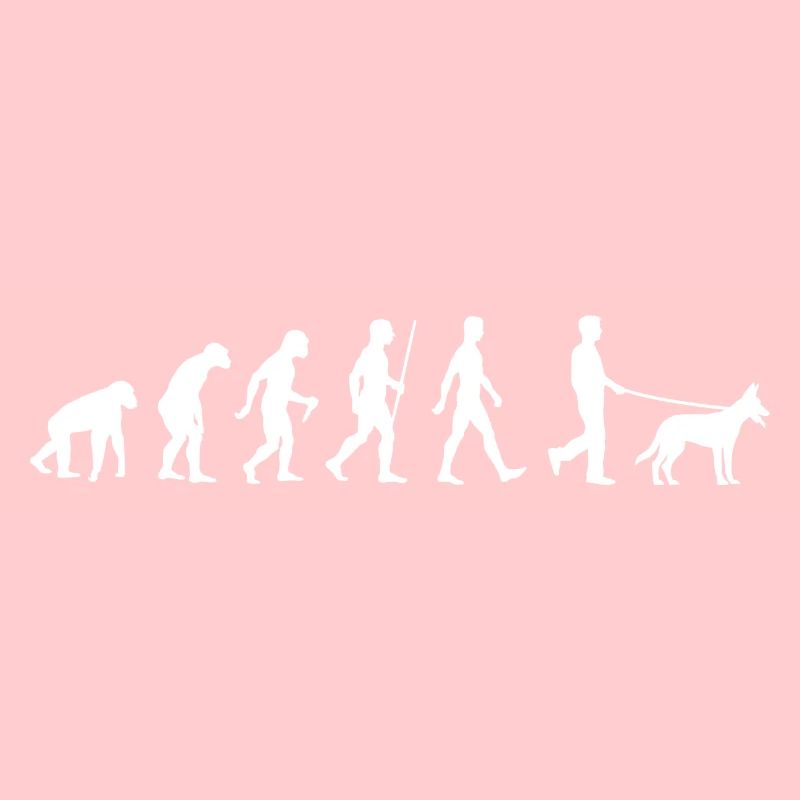 Deutscher Schäferhund Evolution Hund Hundebesitzer