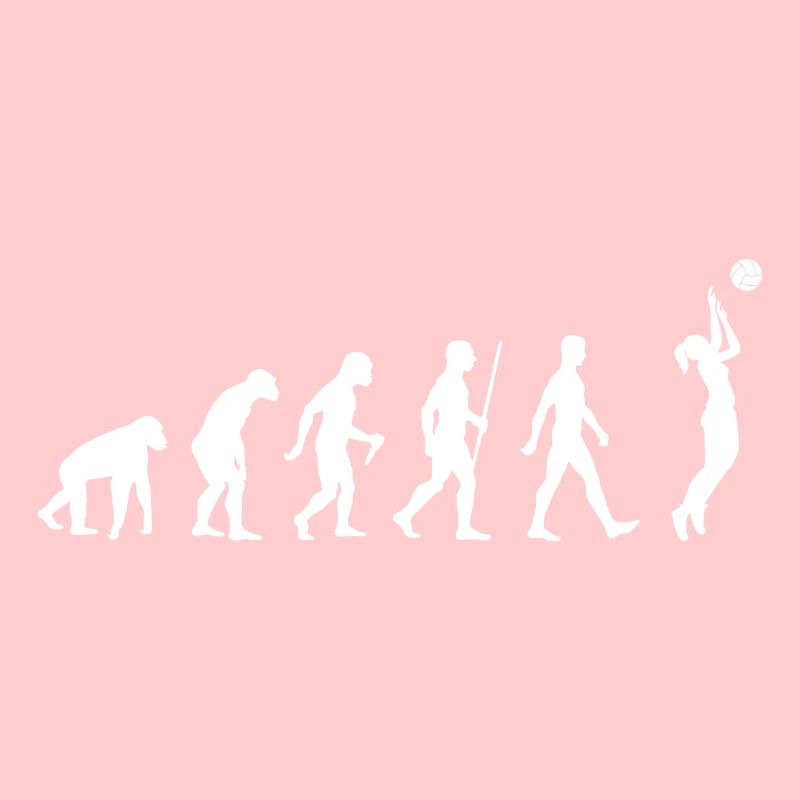 Volleyball evolution