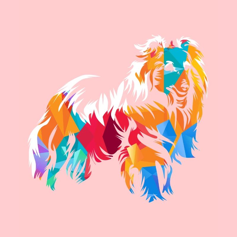 Shetland Schäferhund Geschenk