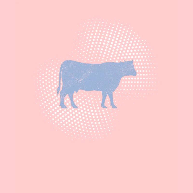 Cow beef