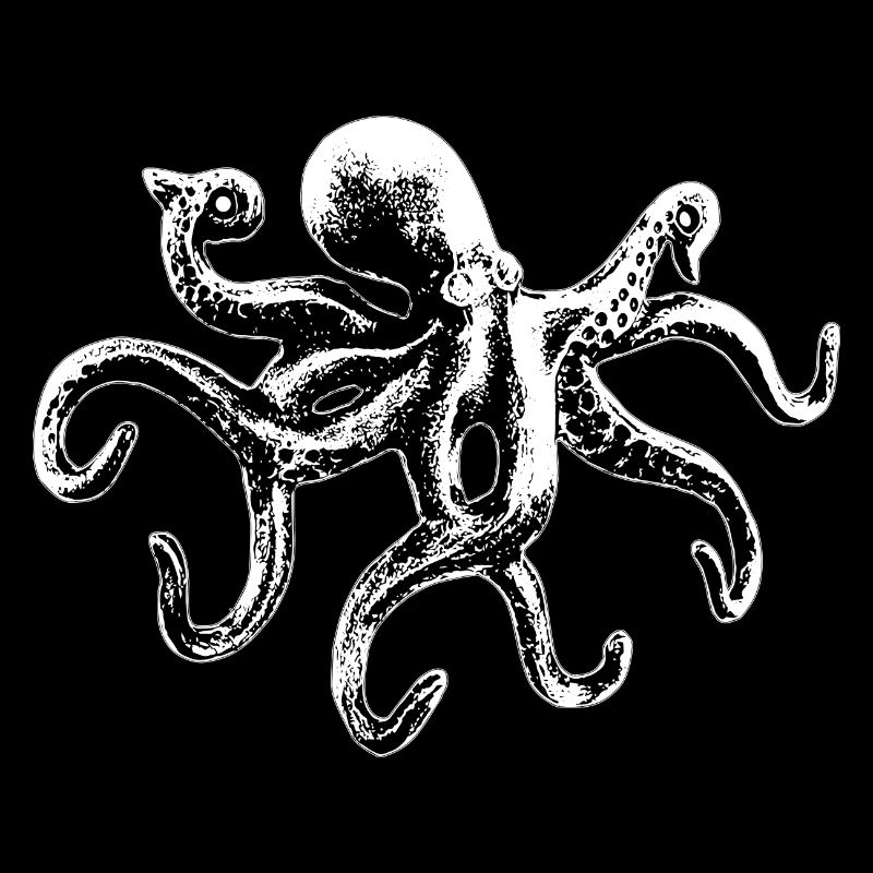 Octopus octopus octopus seafood gift