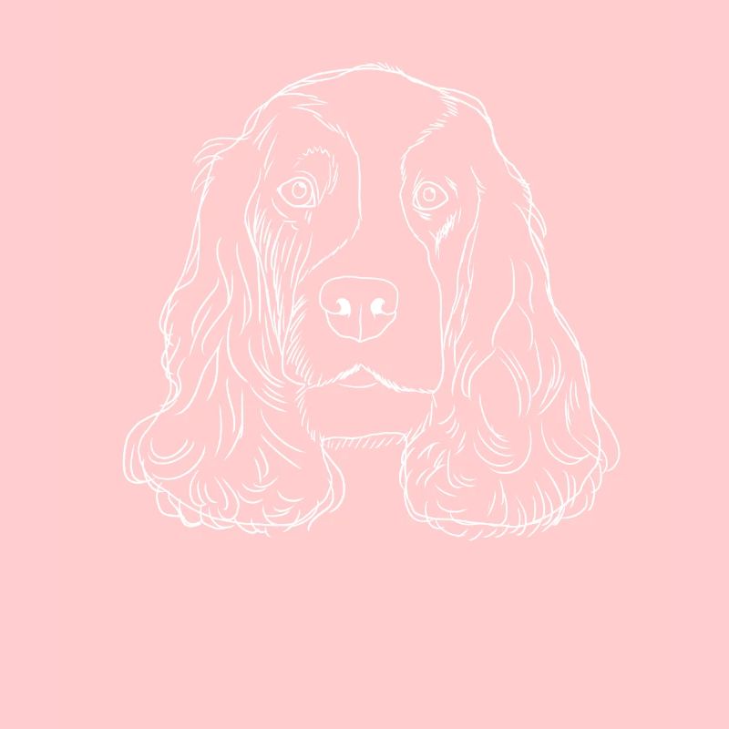 English Cocker Spaniel Hund