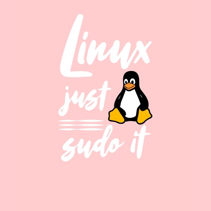 Linux juste sudo it