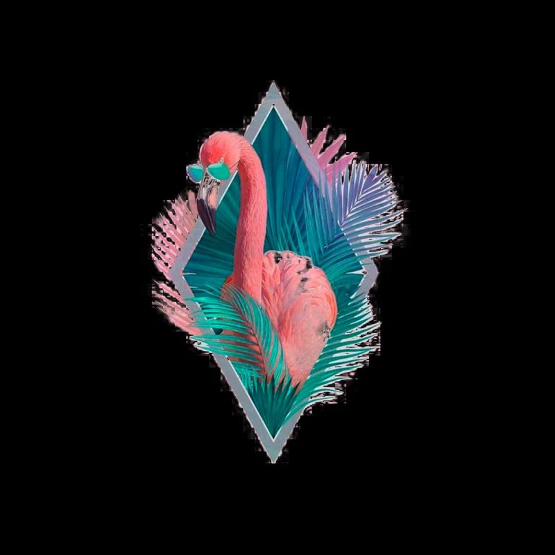 flamant rose