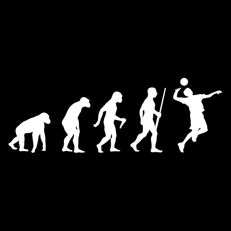 Volleyballer Evolution