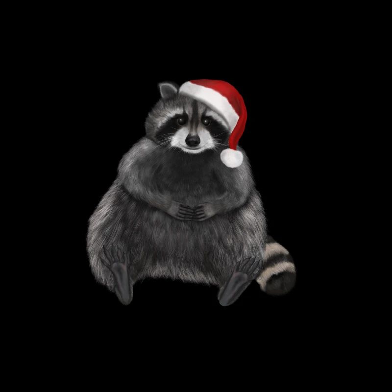 Le raton laveur aime Noël