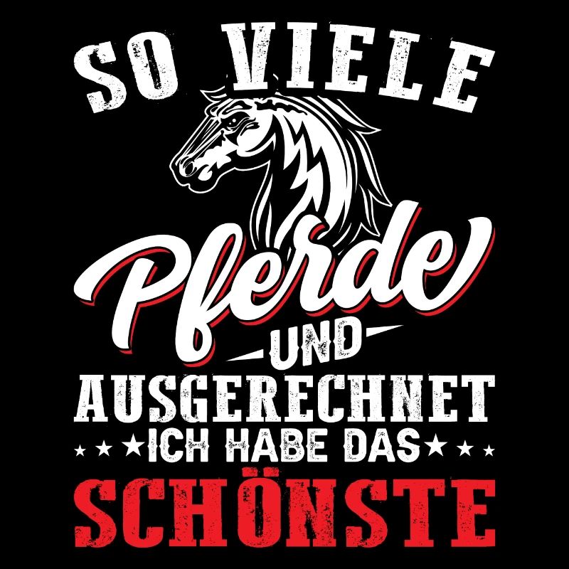 schönstes Pferd