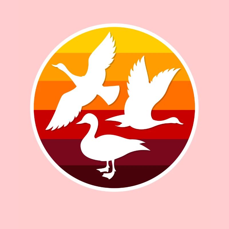 ducks