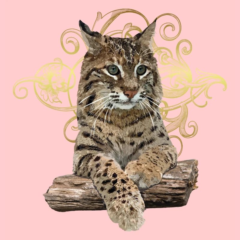 Luchs