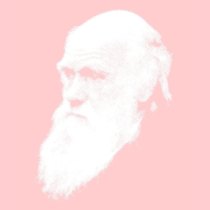 Darwin