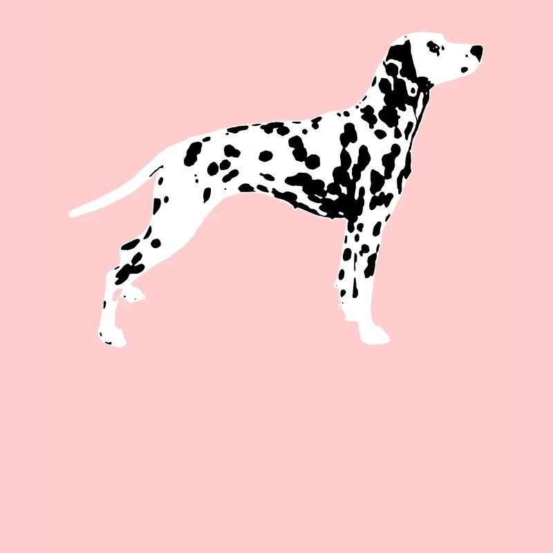 Dalmatiens