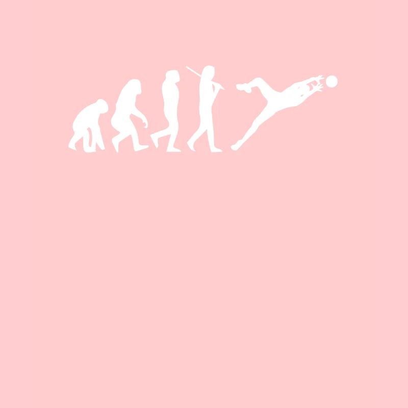 Goalkeeper evolution