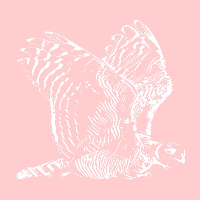 Chouettes