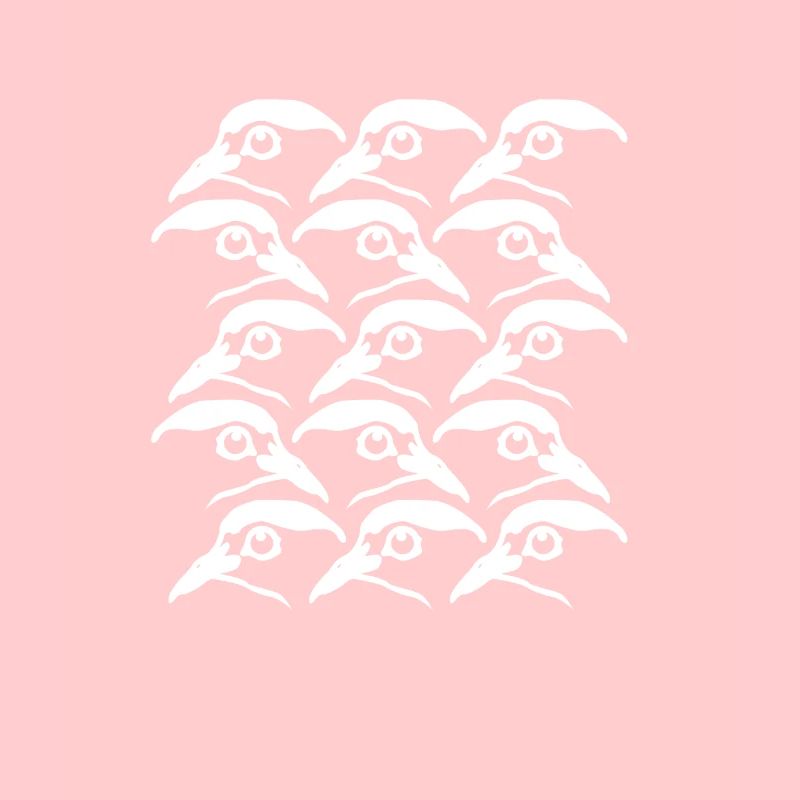 Pigeons