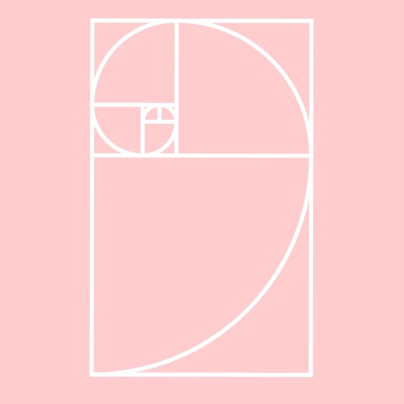 Fibonacci Schnecke