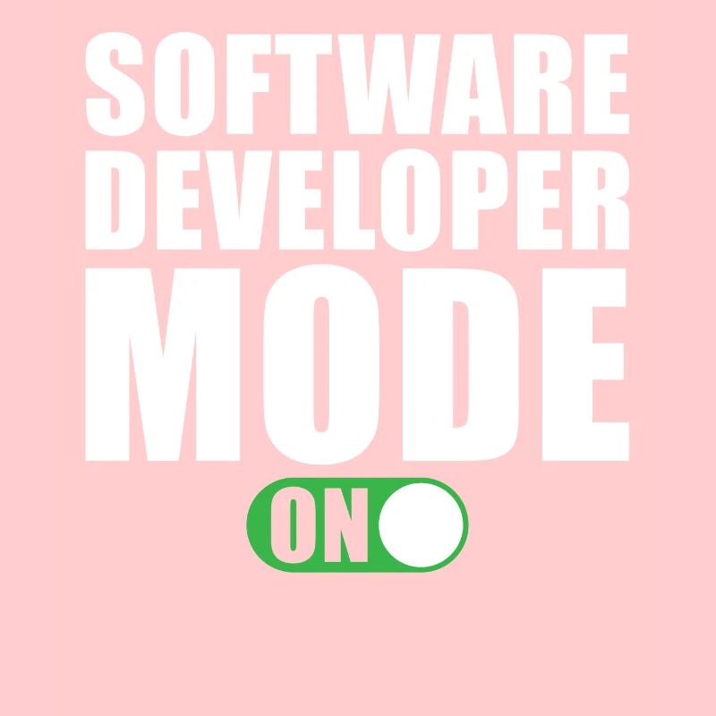 Software Entwickler Modus Ein