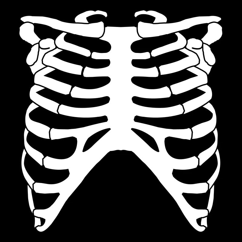 Ribcage Front