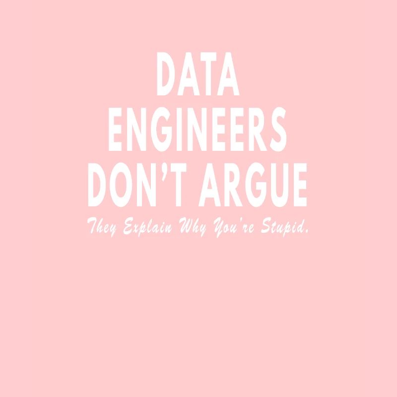 Data Engineer dont argue