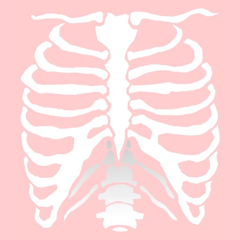 Human Bone Rib Cage