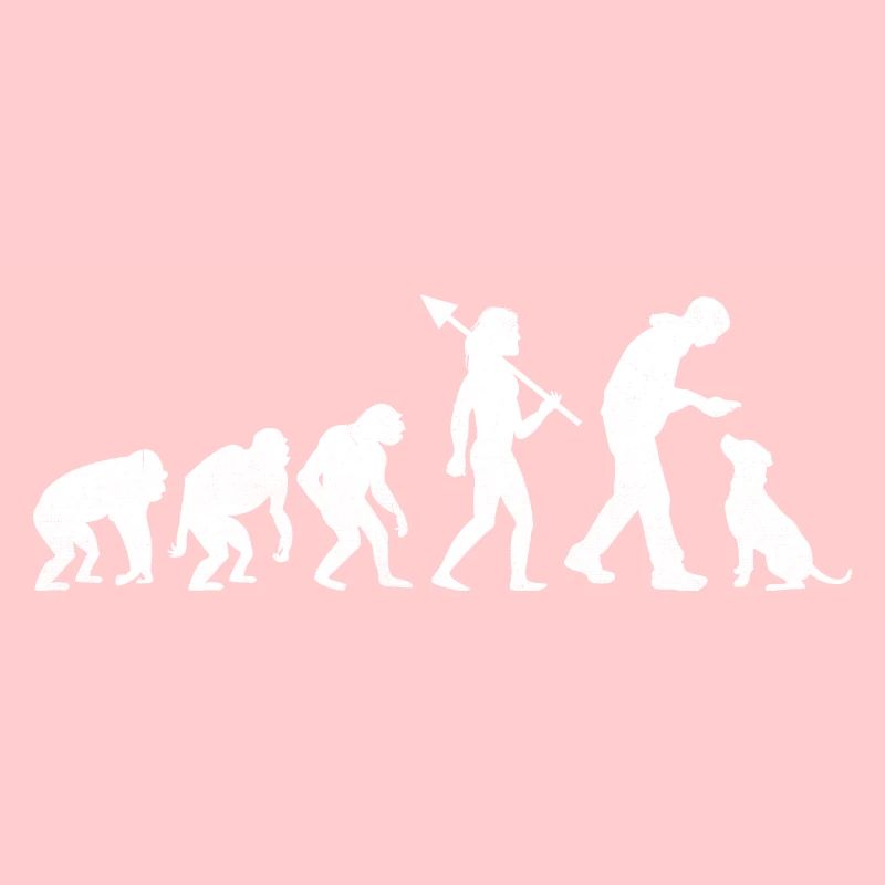 Retro Evolution Labrador Retriever Lab Dog Retriev