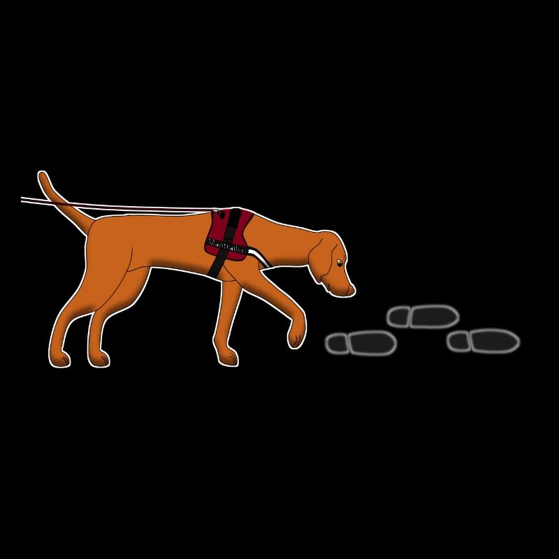Mantrailing Vizsla