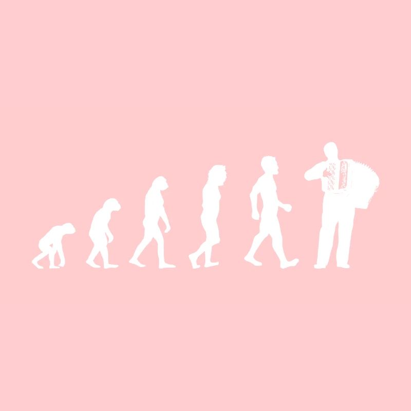 Evolution Ziehorgel Shirt Cadeau Accordéon