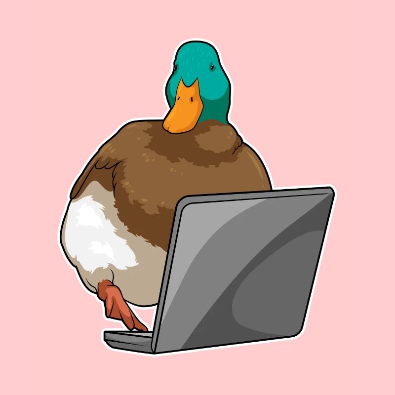 Duck Laptop