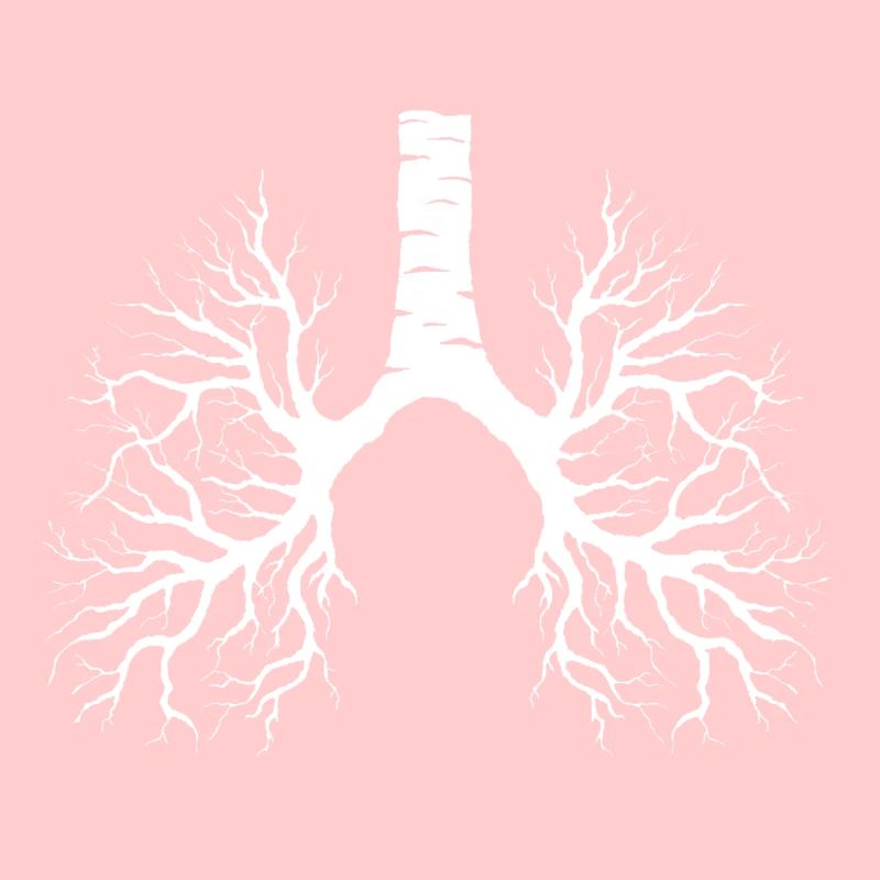 Lung tree - lungs, birch, branches, veins, nature