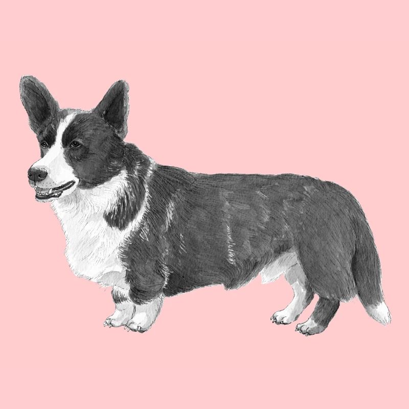 Walisische Corgi-Strickjacke