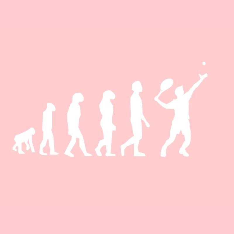 Tennis evolution