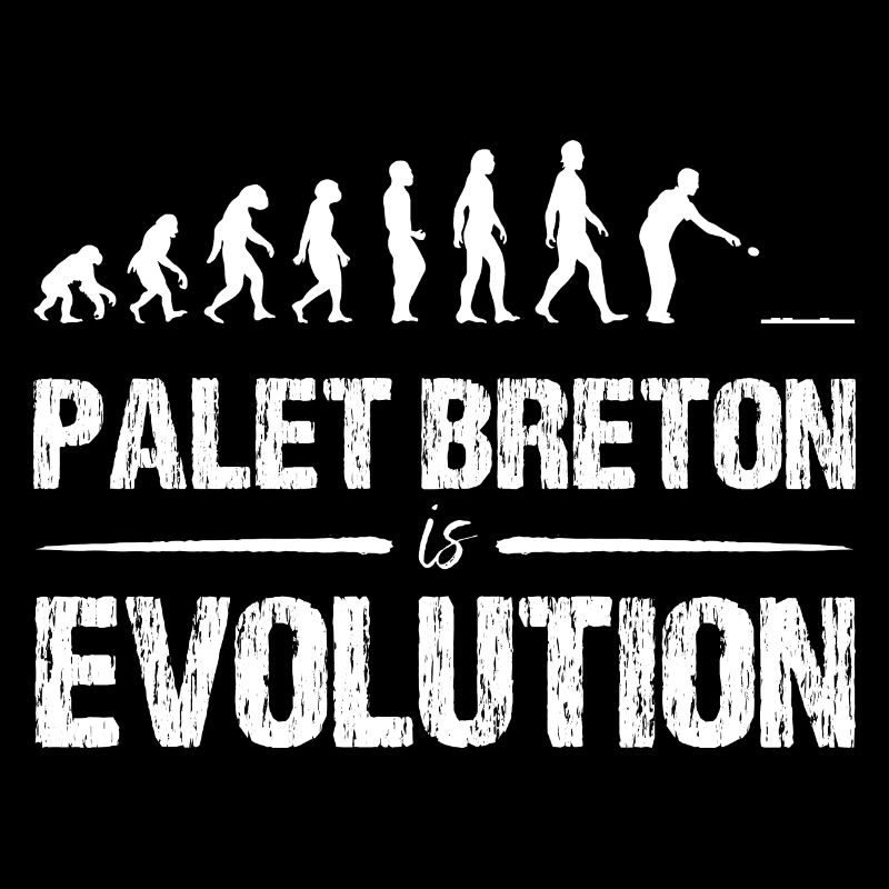 Palet Breton is Evolution Jeu de palet