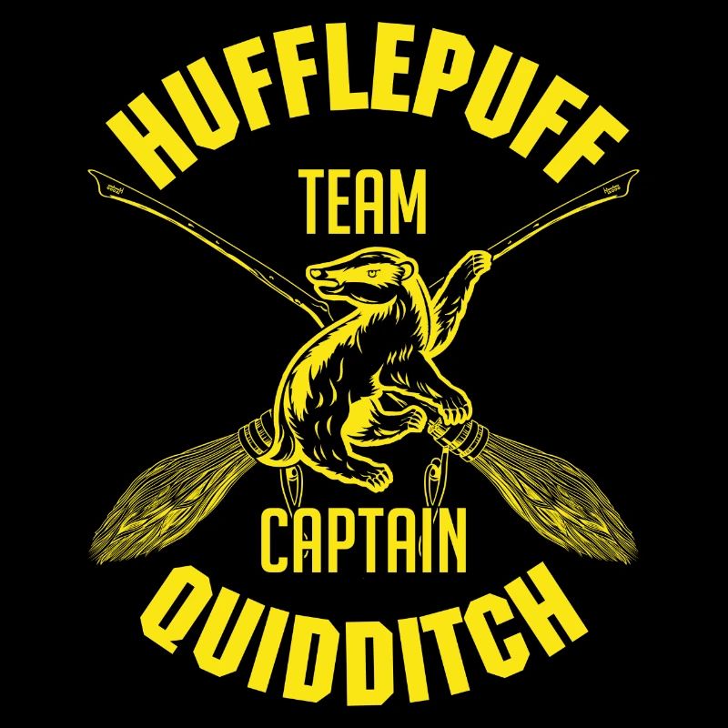 Harry Potter Hufflepuff Team Captain Quidditch