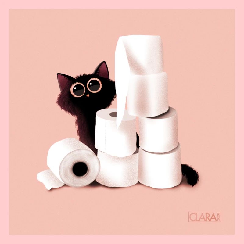 Chat noir