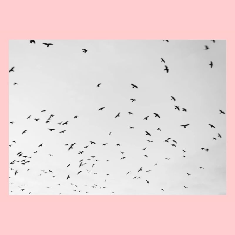 Excited crows with a cloudy sky