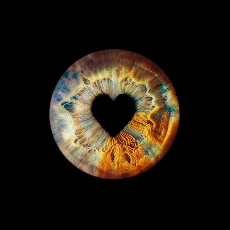 Iris Love