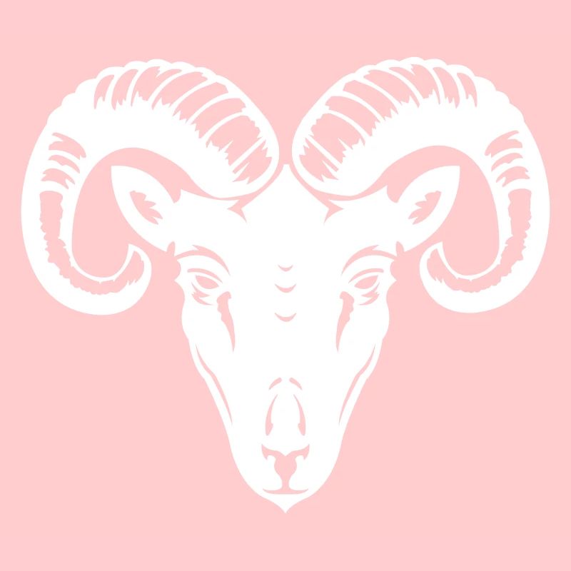 ariete