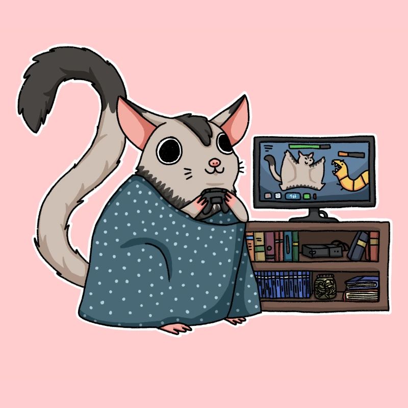 Sugarglider de jeu