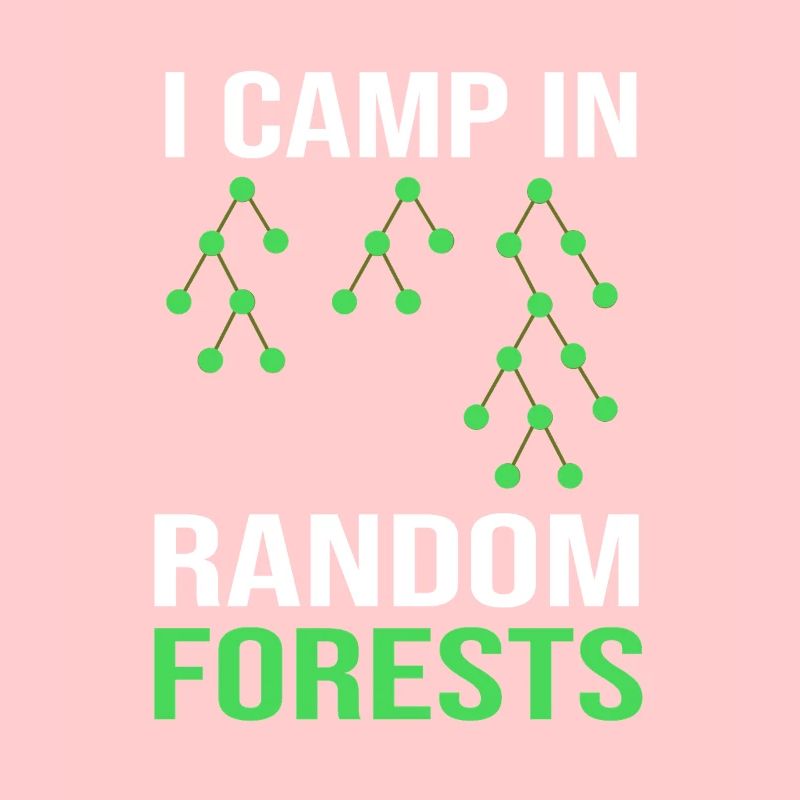 Programmer Coder GPT