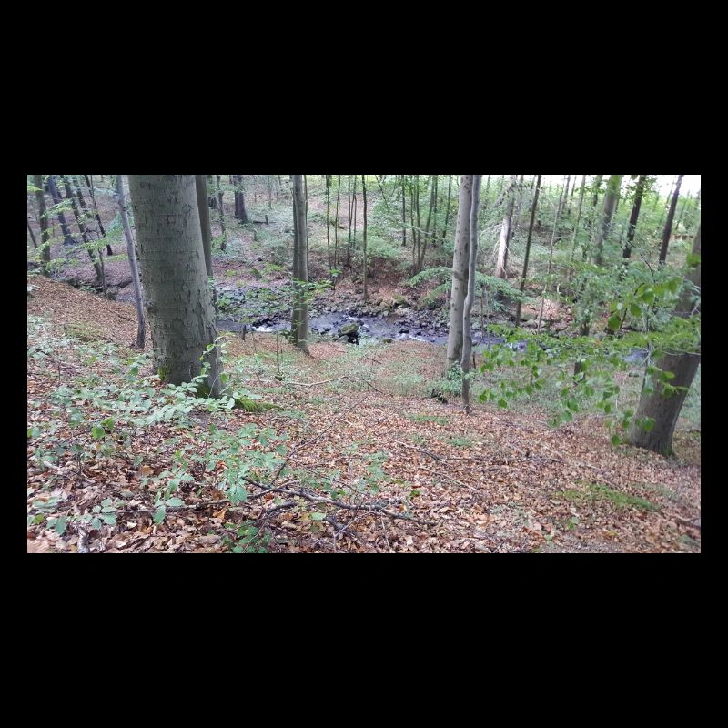 Natur 3