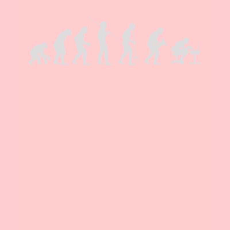 Computer Scientist Evolution