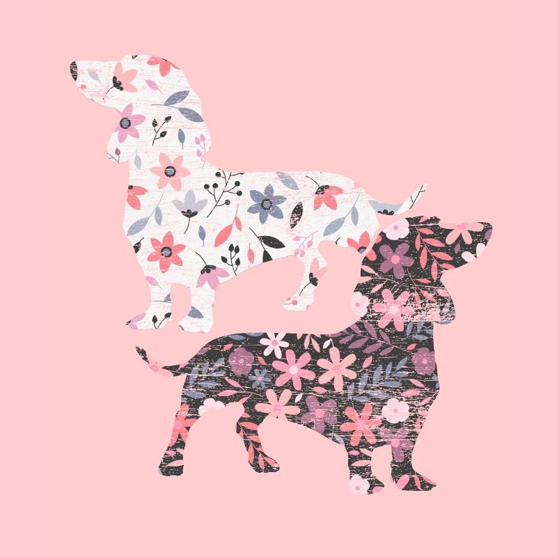 Teckel animal de compagnie