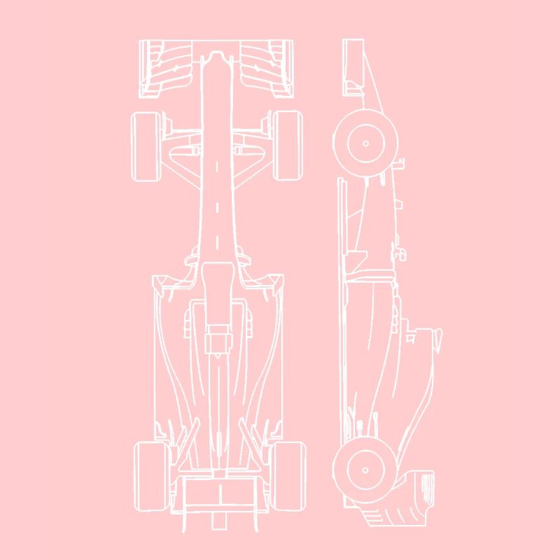 F1 Racing Car Gift idea