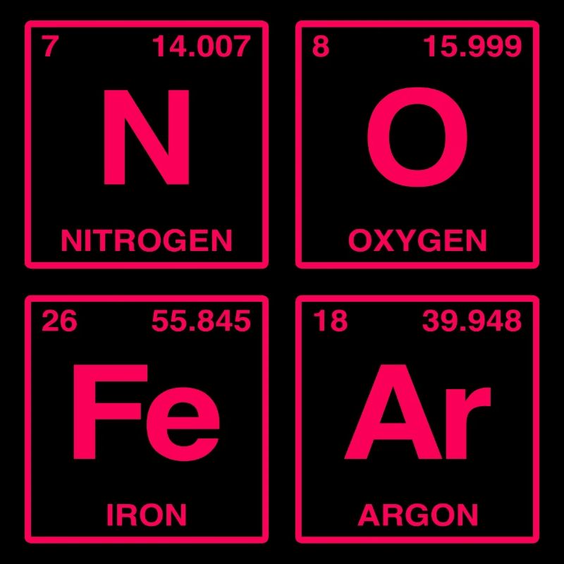 NO FEAR - with elements of the perdiode system