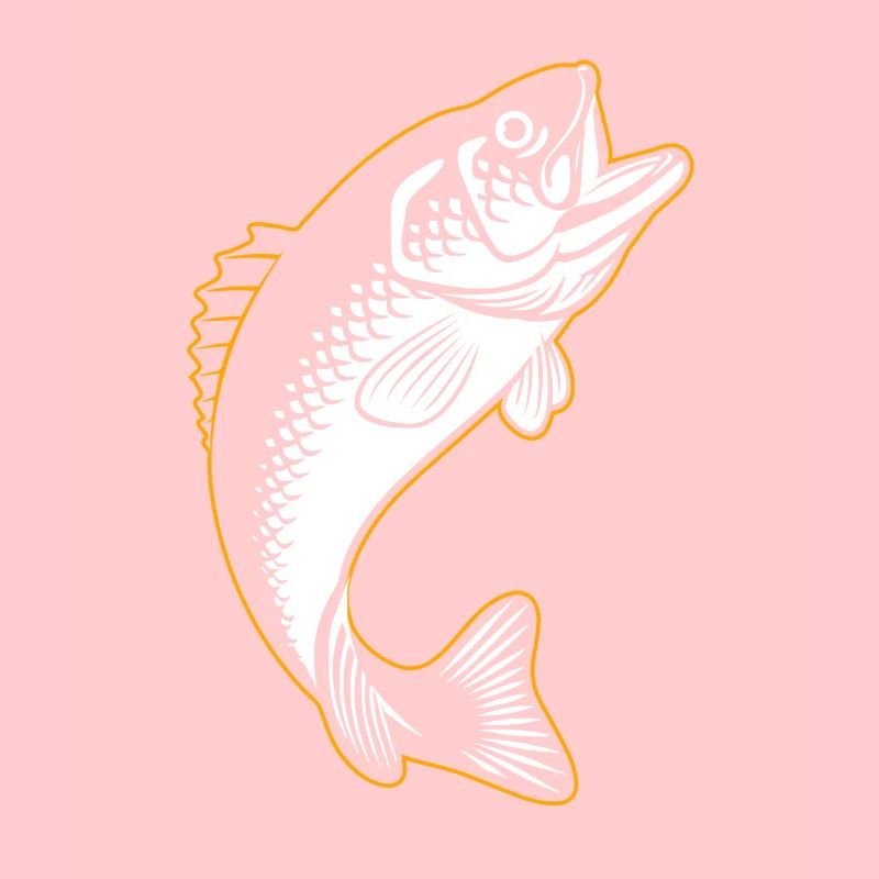 Carpa sagoma pesce