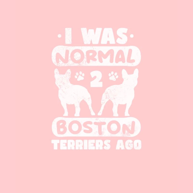 Boston Terrier