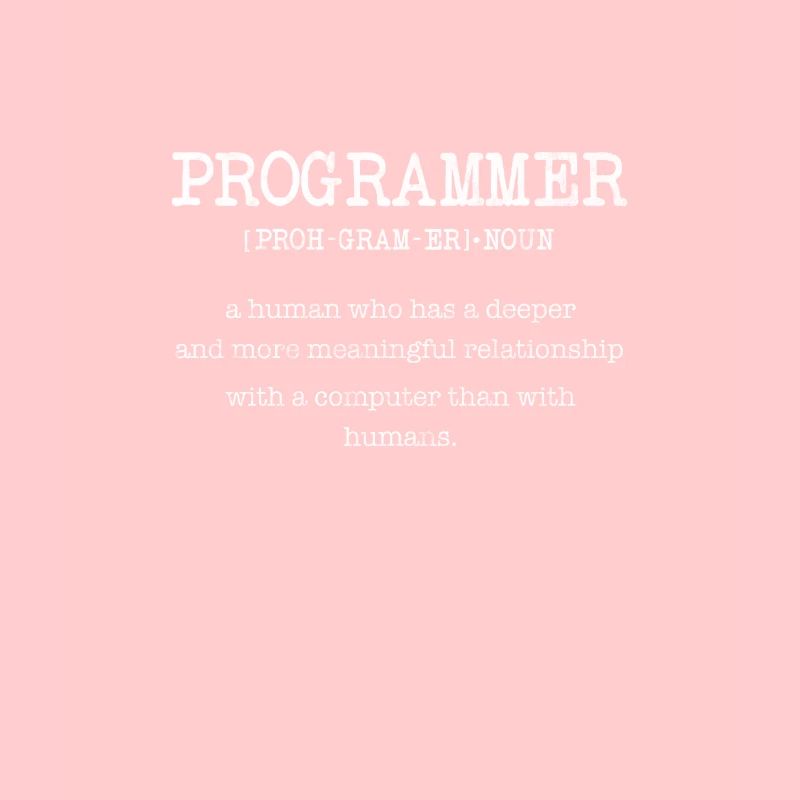 Programmeur