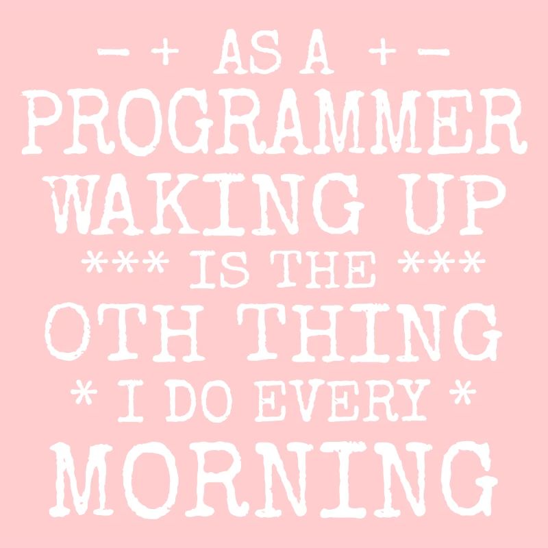 Software Ingenieur Informatiker Programmierer