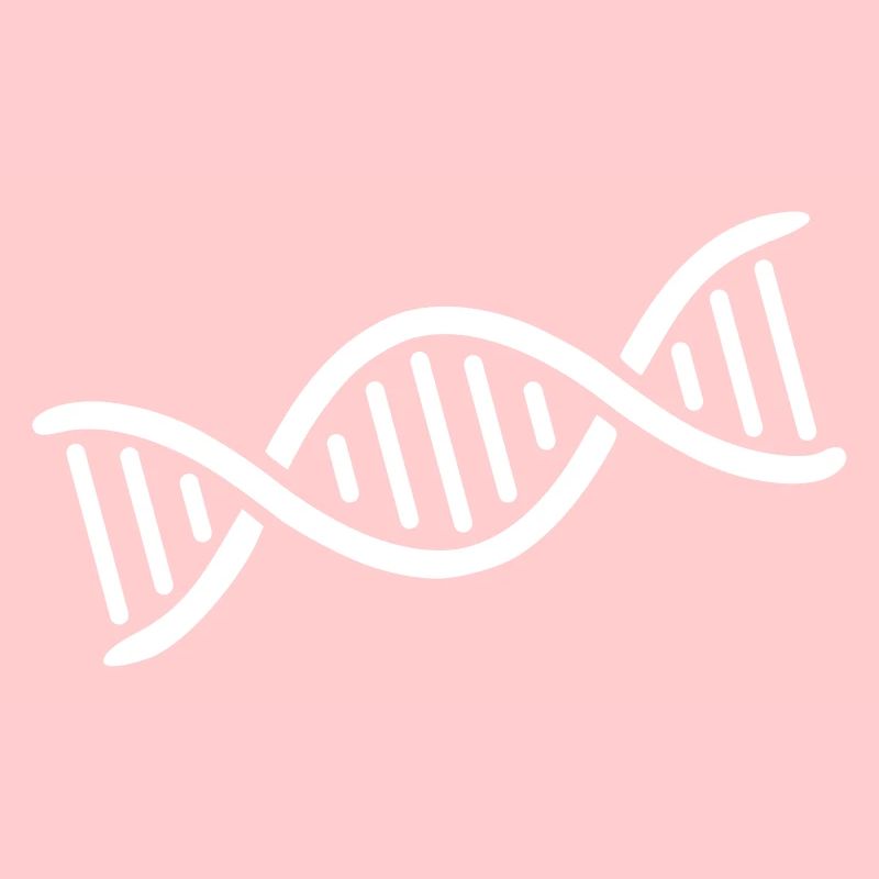 Logo ADN